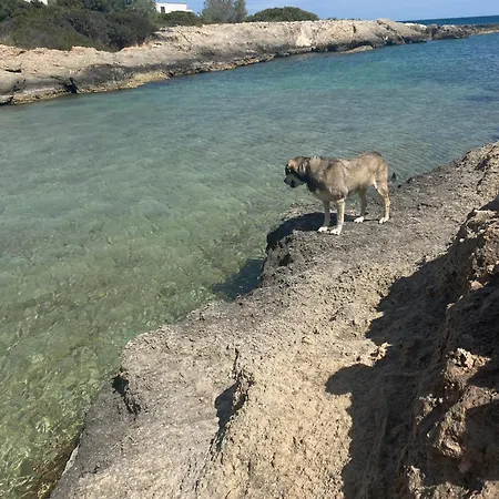 Il Trullo Di Loa Ad Ostuni, Mare E Valle D'itria *